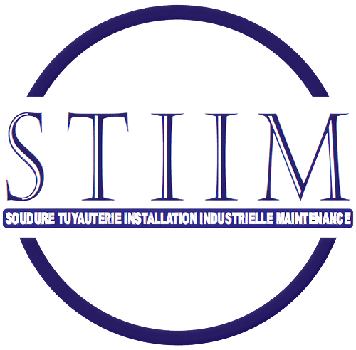 Logo S.T.I.I.M
